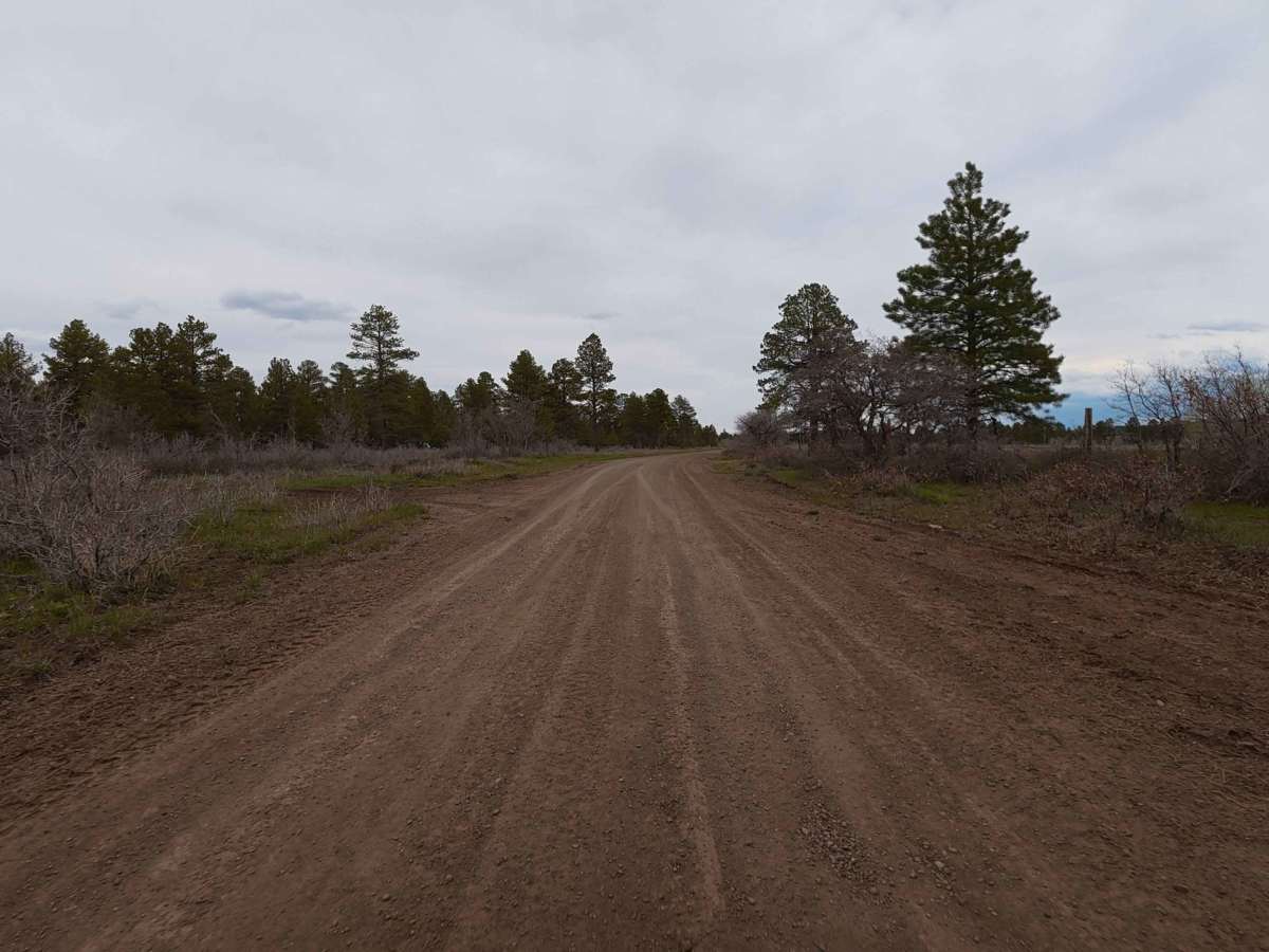 Cottonwood Road - FS 504 photo 4