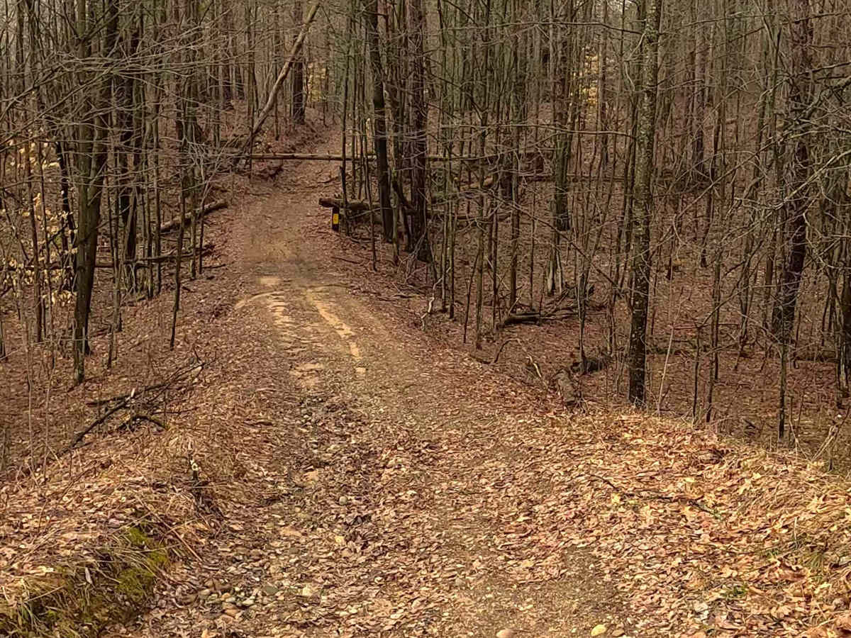ORV H-57 : Mack Lake Loop Trail South photo 4