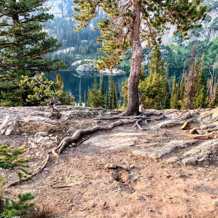 Near Iron Creek to Grandjean