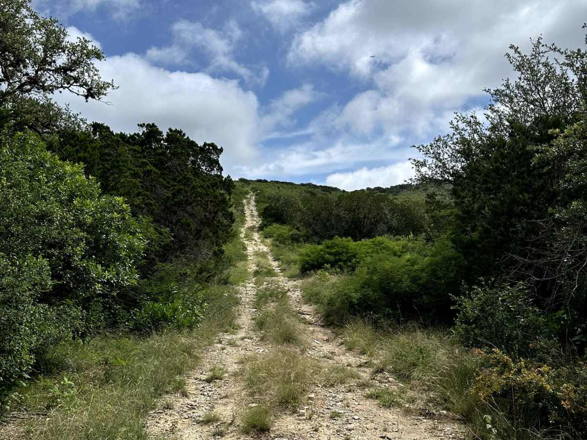 Rubicon Ridge trail photo