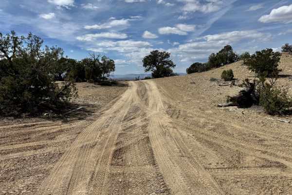 County Road 3417