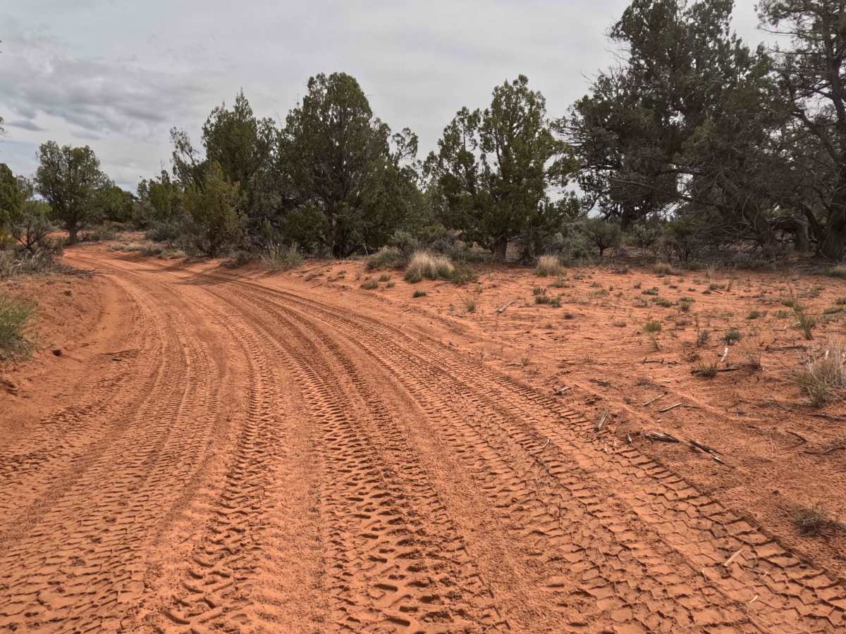 BLM 64J photo 3