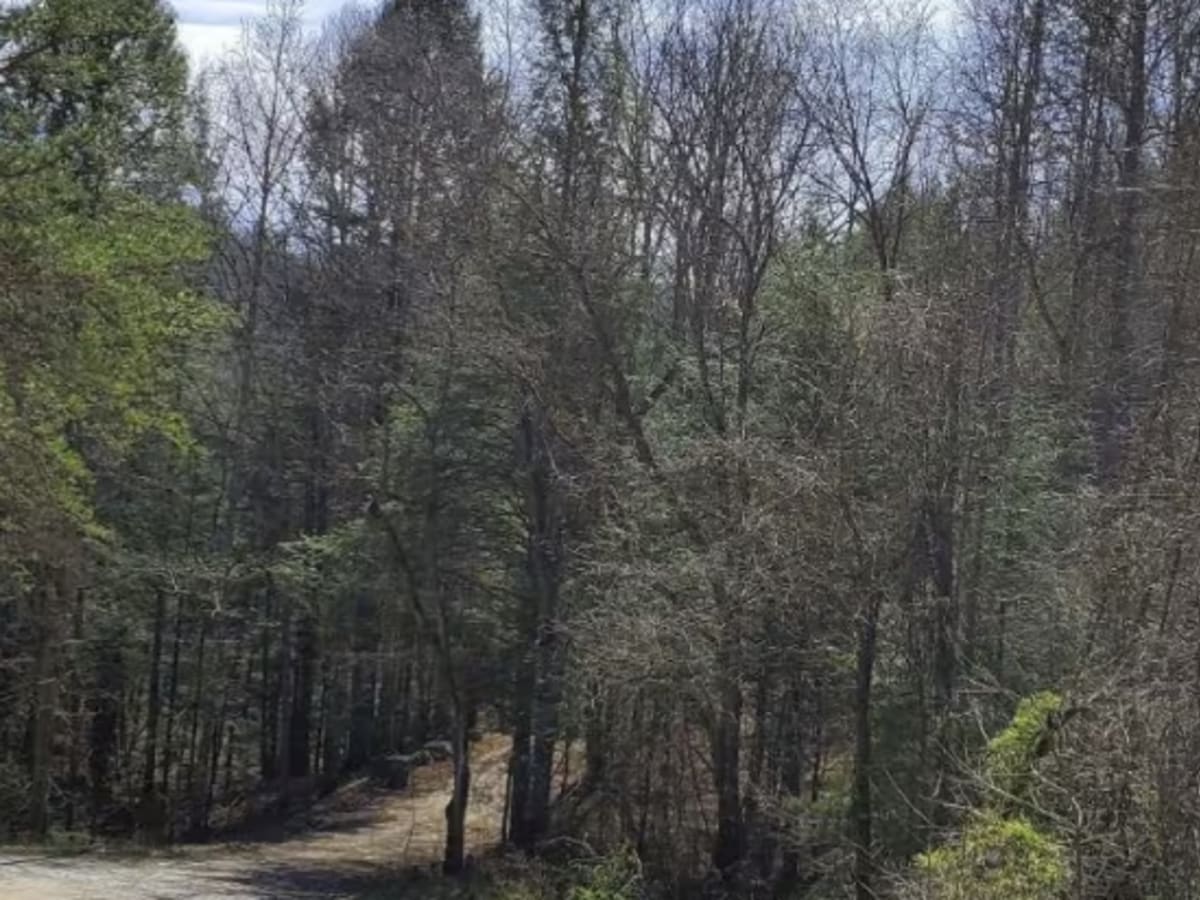 Highway 1036 trail photo