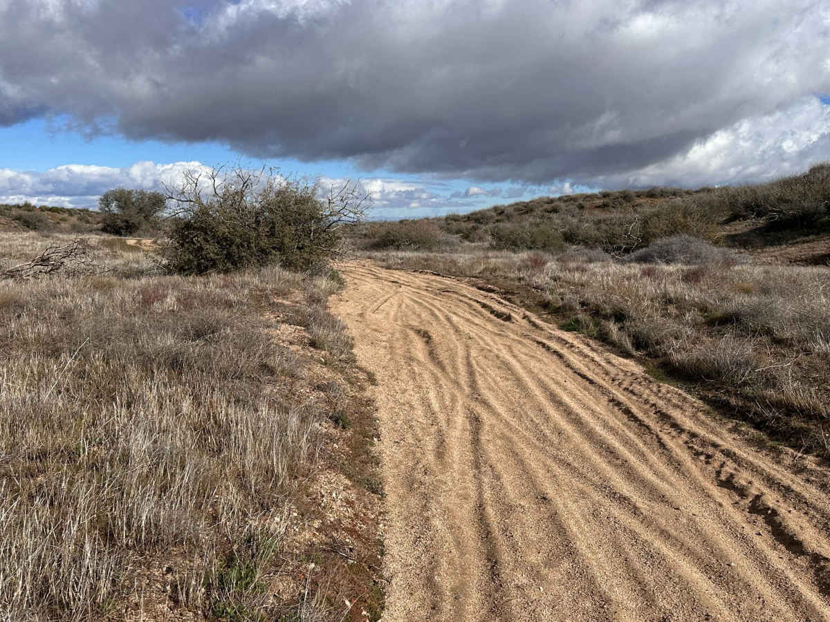 Sand Rip Loop trail photo