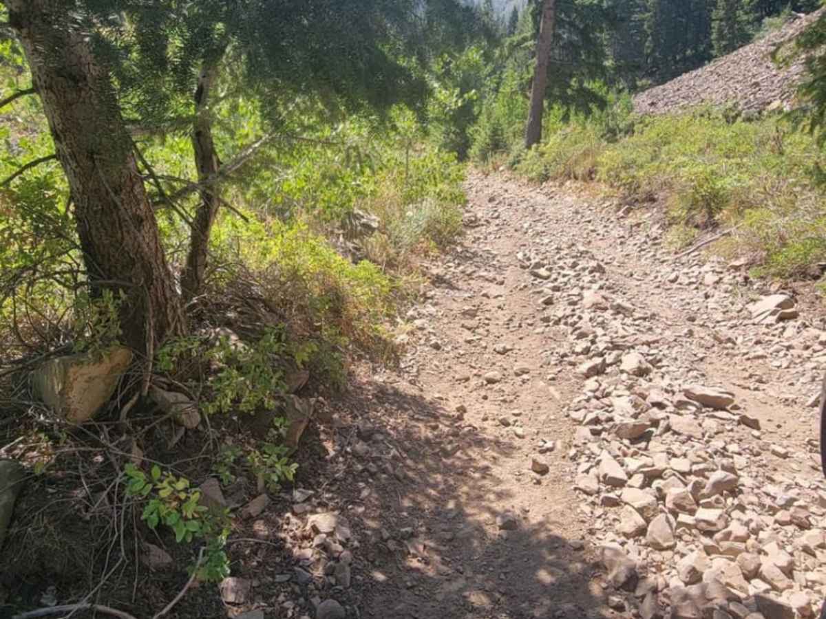 Warm Springs Creek Trail photo 3