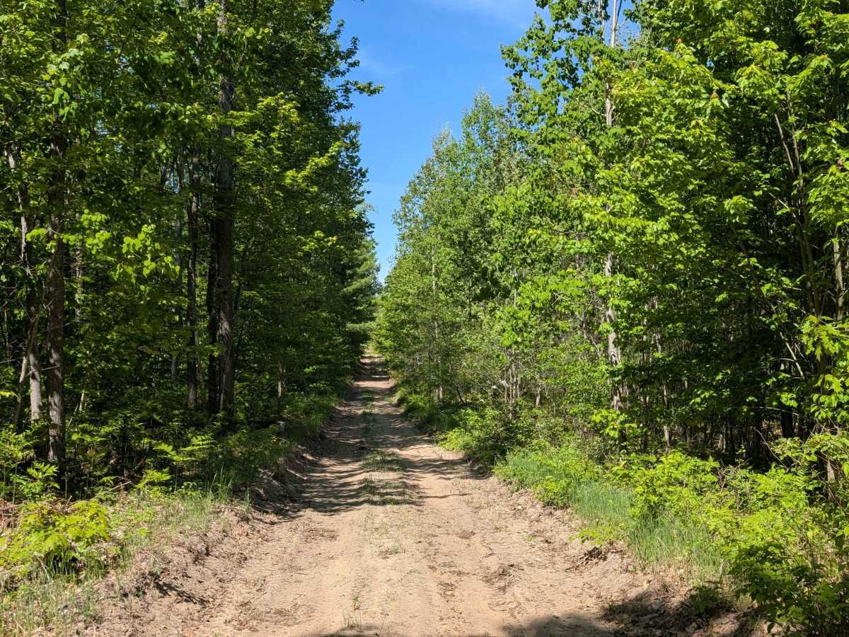 Decker Road - 571105 photo 4