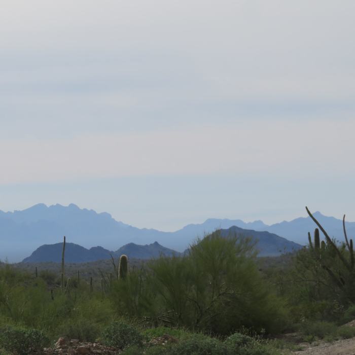 Near Cowpie Rock Loop