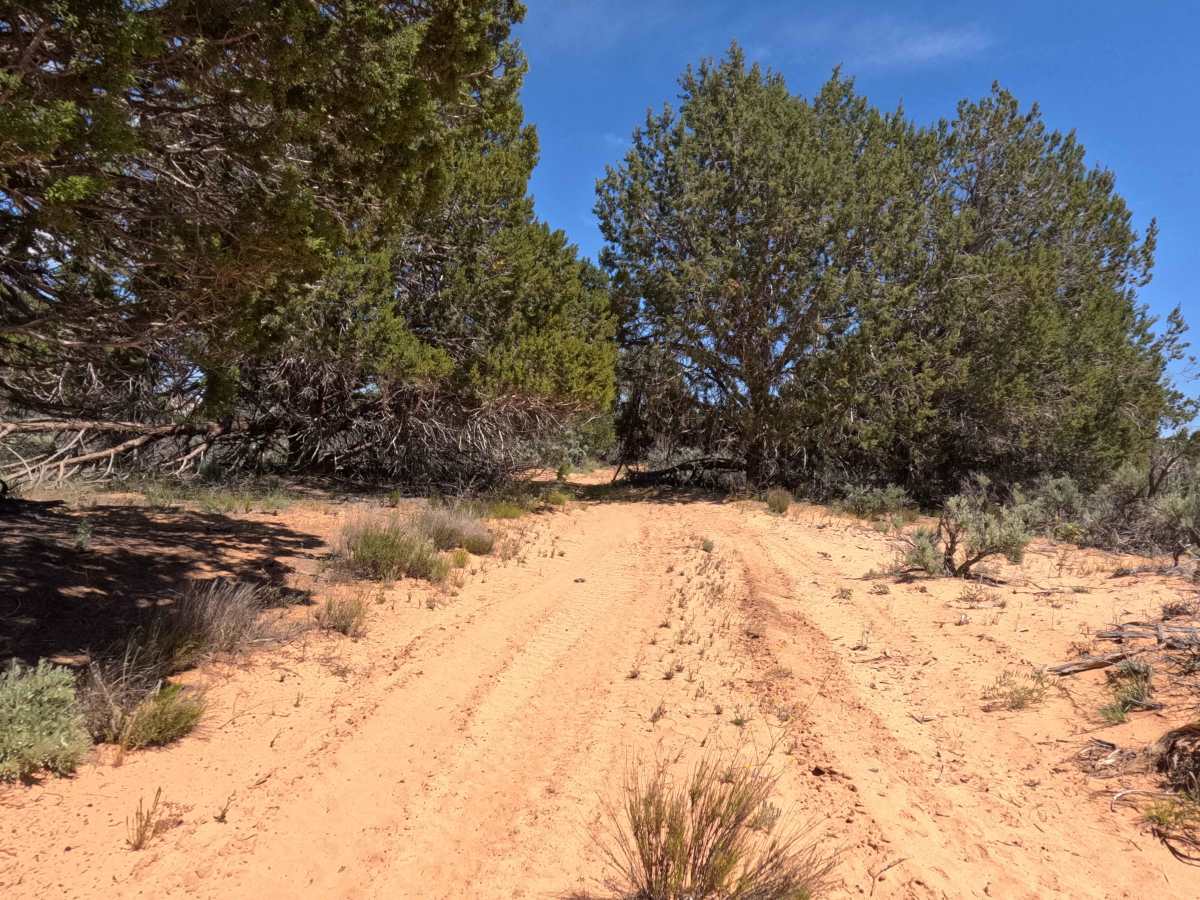 BLM 104B photo 4