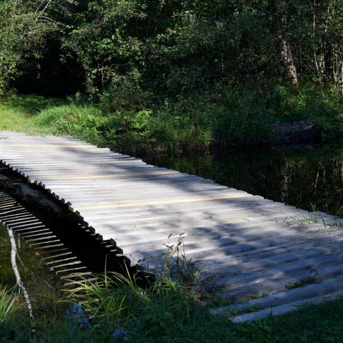 A wooden bridge crosses a stream that feeds into Shell Pond. Near Shell Pond Trail (# 31882)