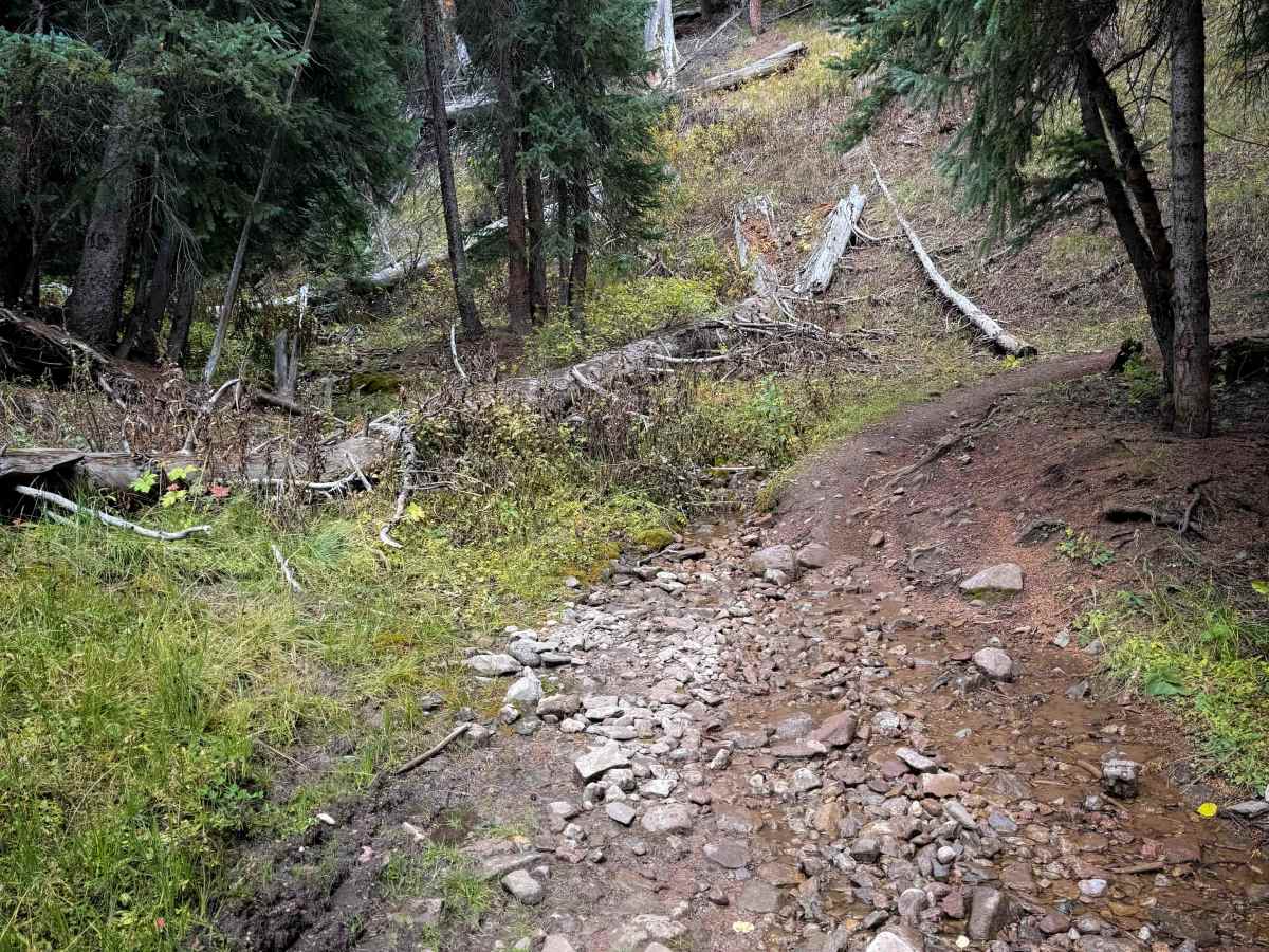 Doubletop Walrod Spur Trail 405.2A photo 3