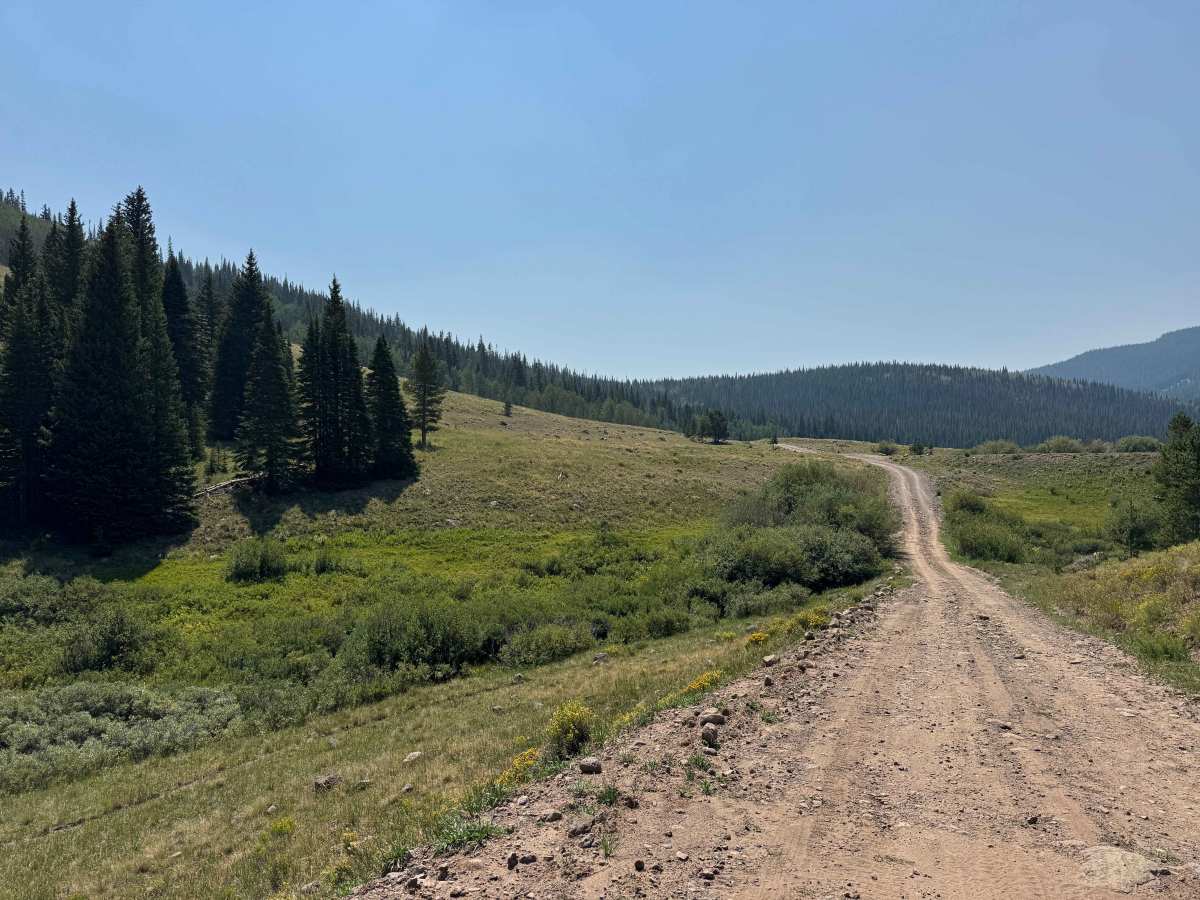 Gardner Park Road - FS 910 trail photo