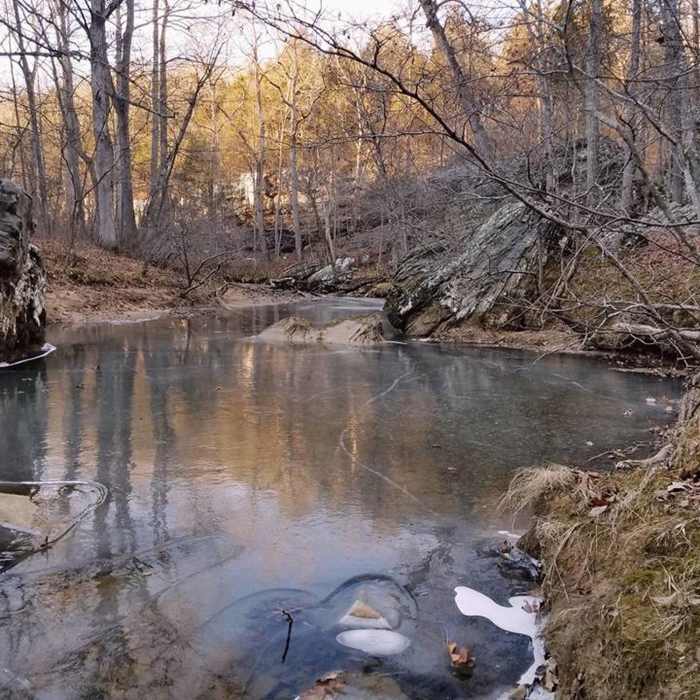 Near Trail #404