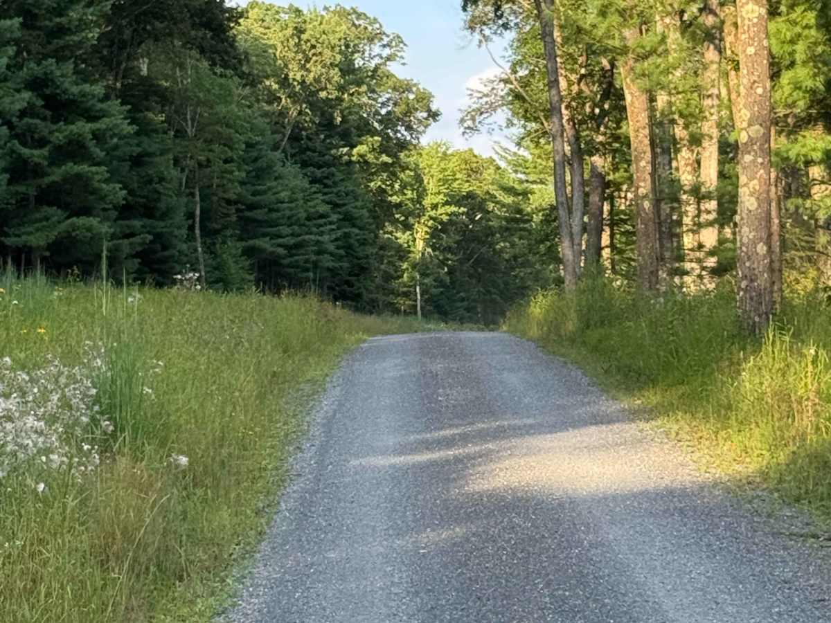 Parker Road photo 6
