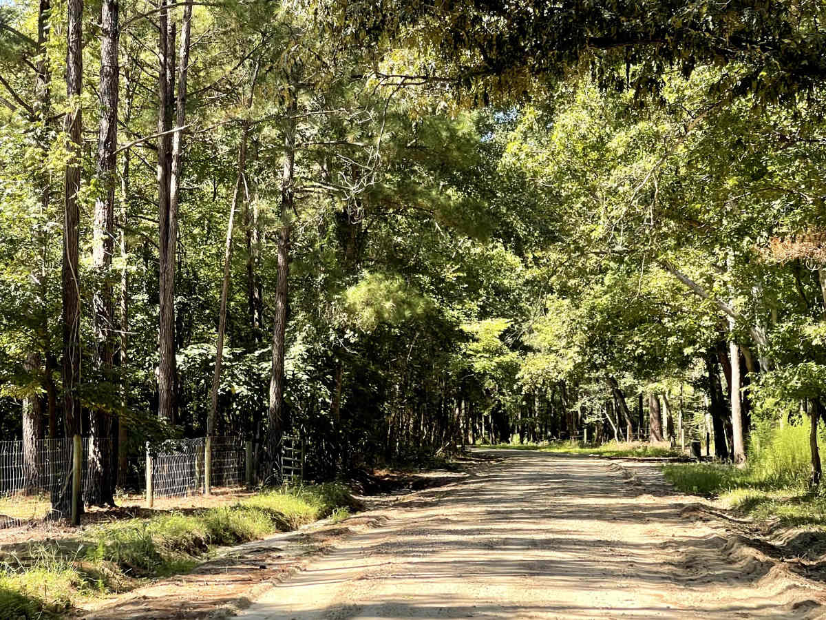Lee Buck Road photo 2