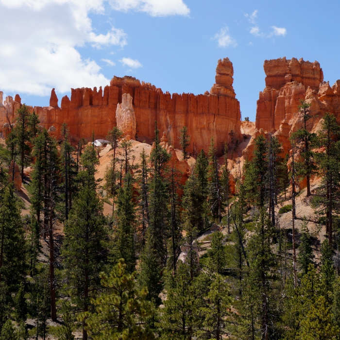 Near Queens Garden Navajo Loop Trail
