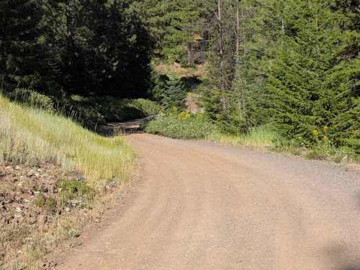 Wilson Creek Road - FS 3517 trail photo