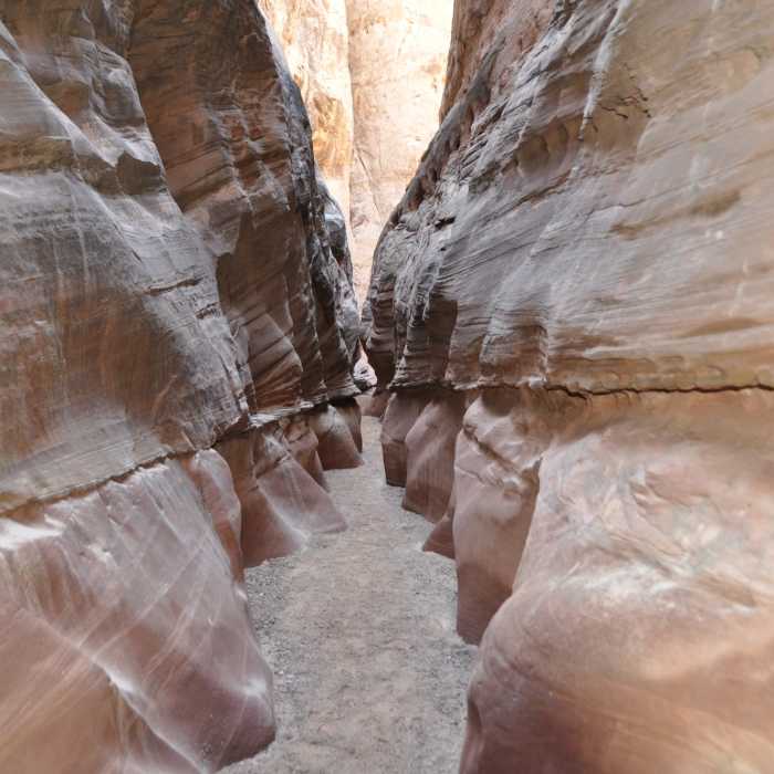Near Little Wildhorse and Bell Canyon Loop