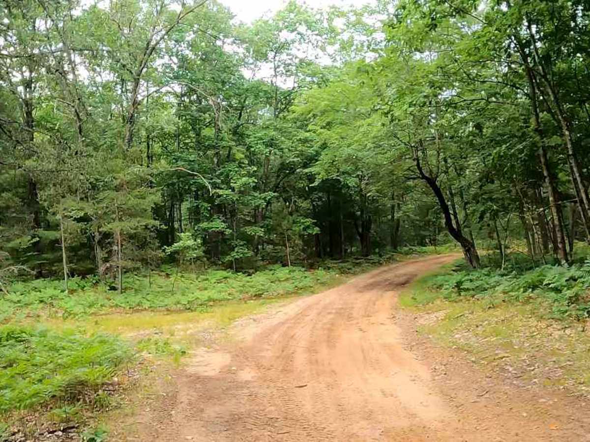 NFS 7410/7412 trail photo