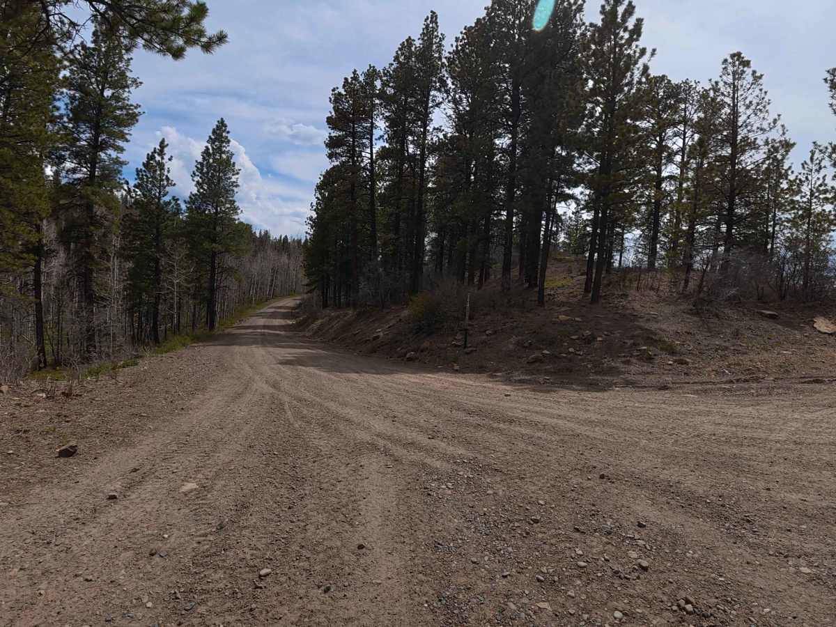 Cottonwood Road - FS 504 trail photo