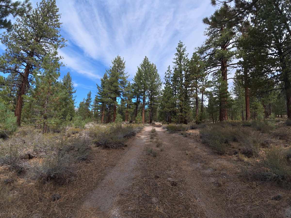 Sandy Flats Access - FS 1S85 photo 4
