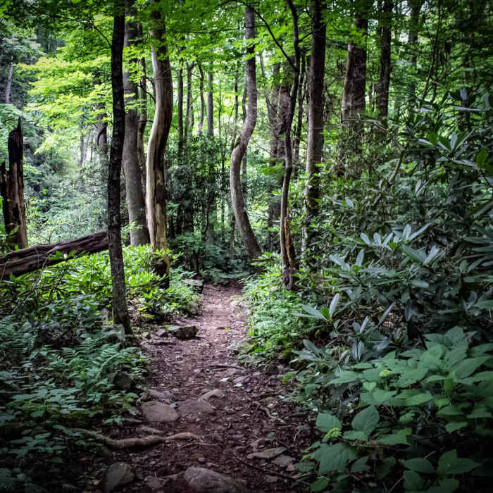 Near Margarette Falls
