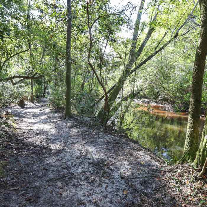 Near Spring Run Trail