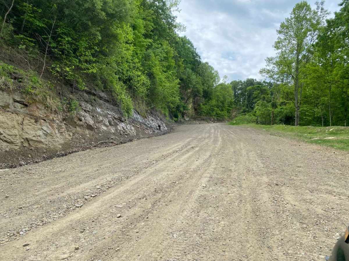 Trail 23 - Flatwoods Road photo 3