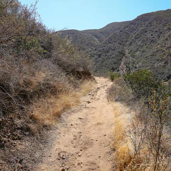Near Rising Sun Trail