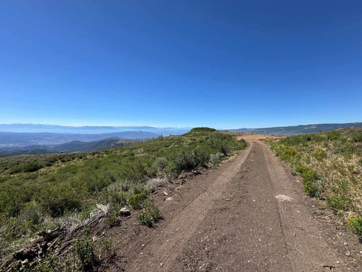 BLM 8454 photo 4