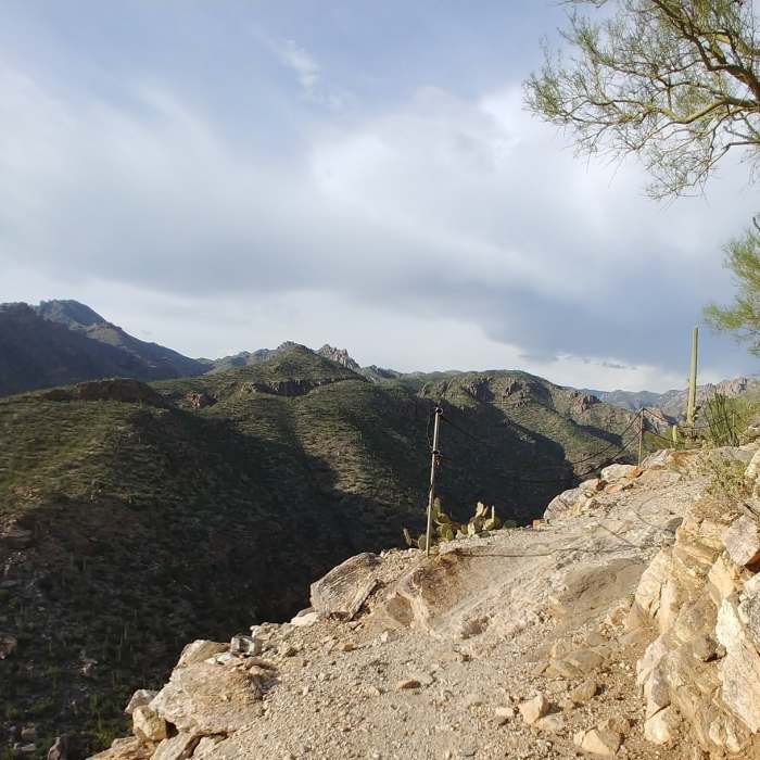 Near Sabino Phoneline Sampler