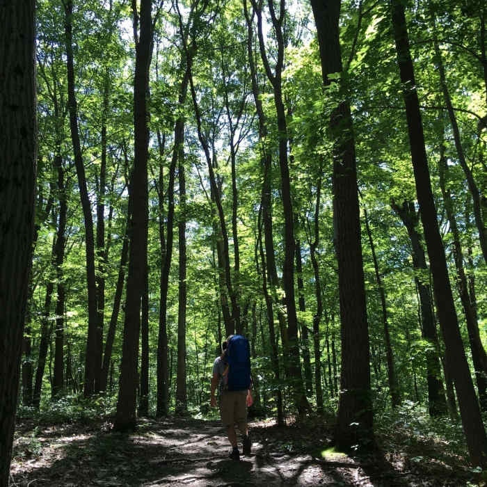 Roadside Trail, Coopers Rock National Forest, WV Near Coopers Rock Grand Loop