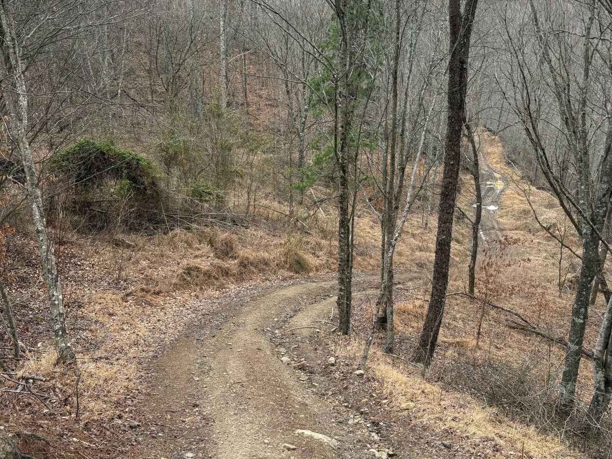 Trail 3 photo 3