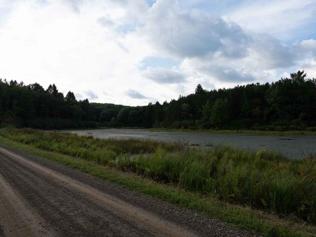 Briggs Road photo 4