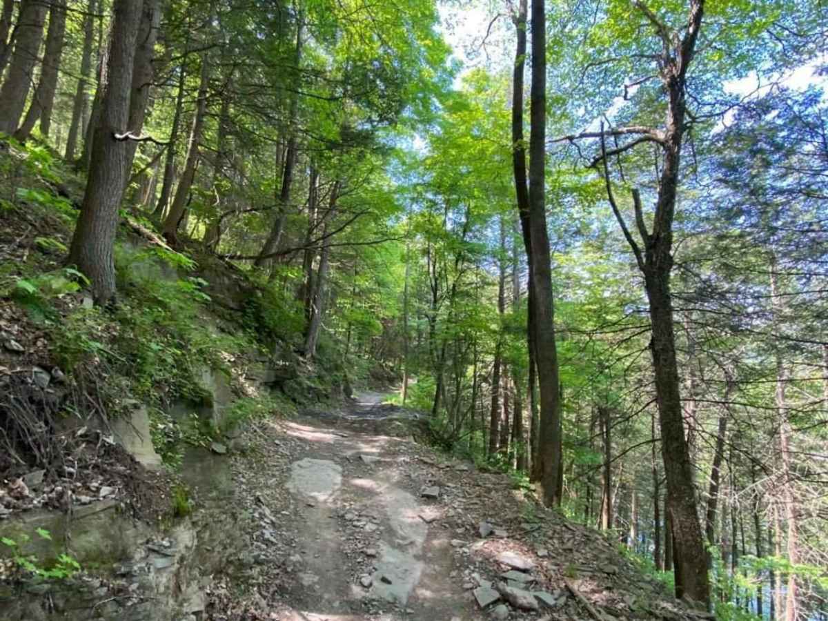 River Road trail photo