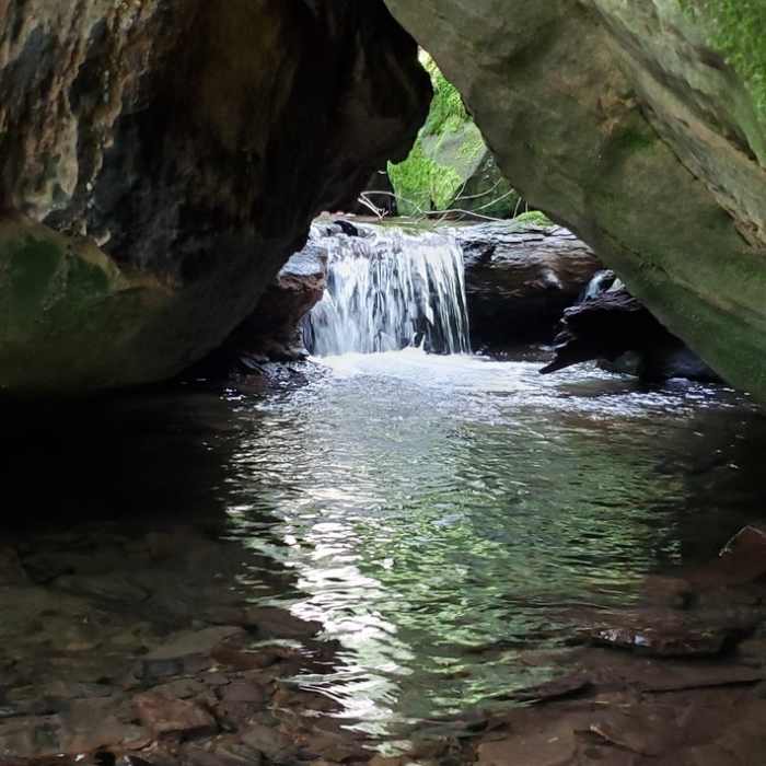 Tributary with nice falls. Near Tanbark Trail: Allegheny River Out and Back