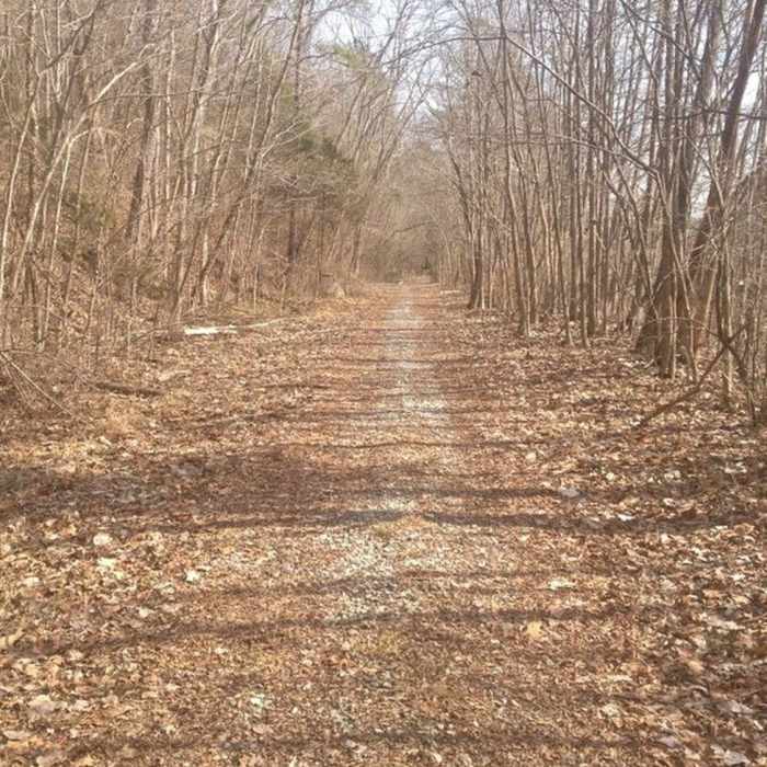 Near Rocky Creek Trail