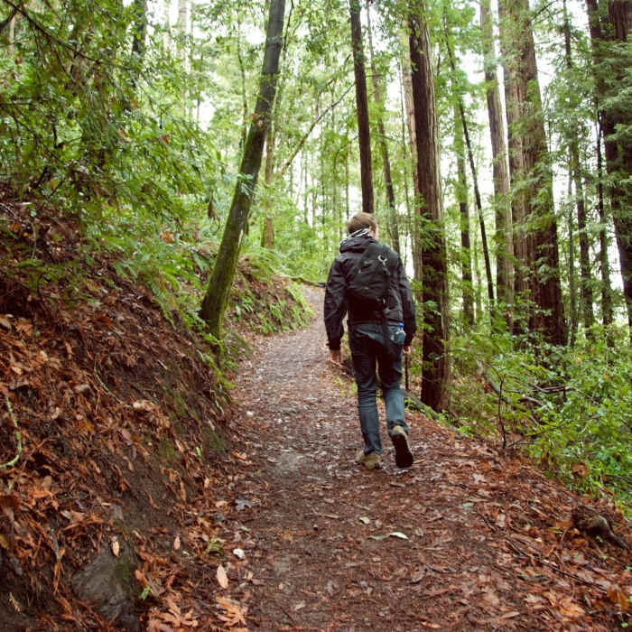 Near Merry-Go-Round to Sprig Trail Loop