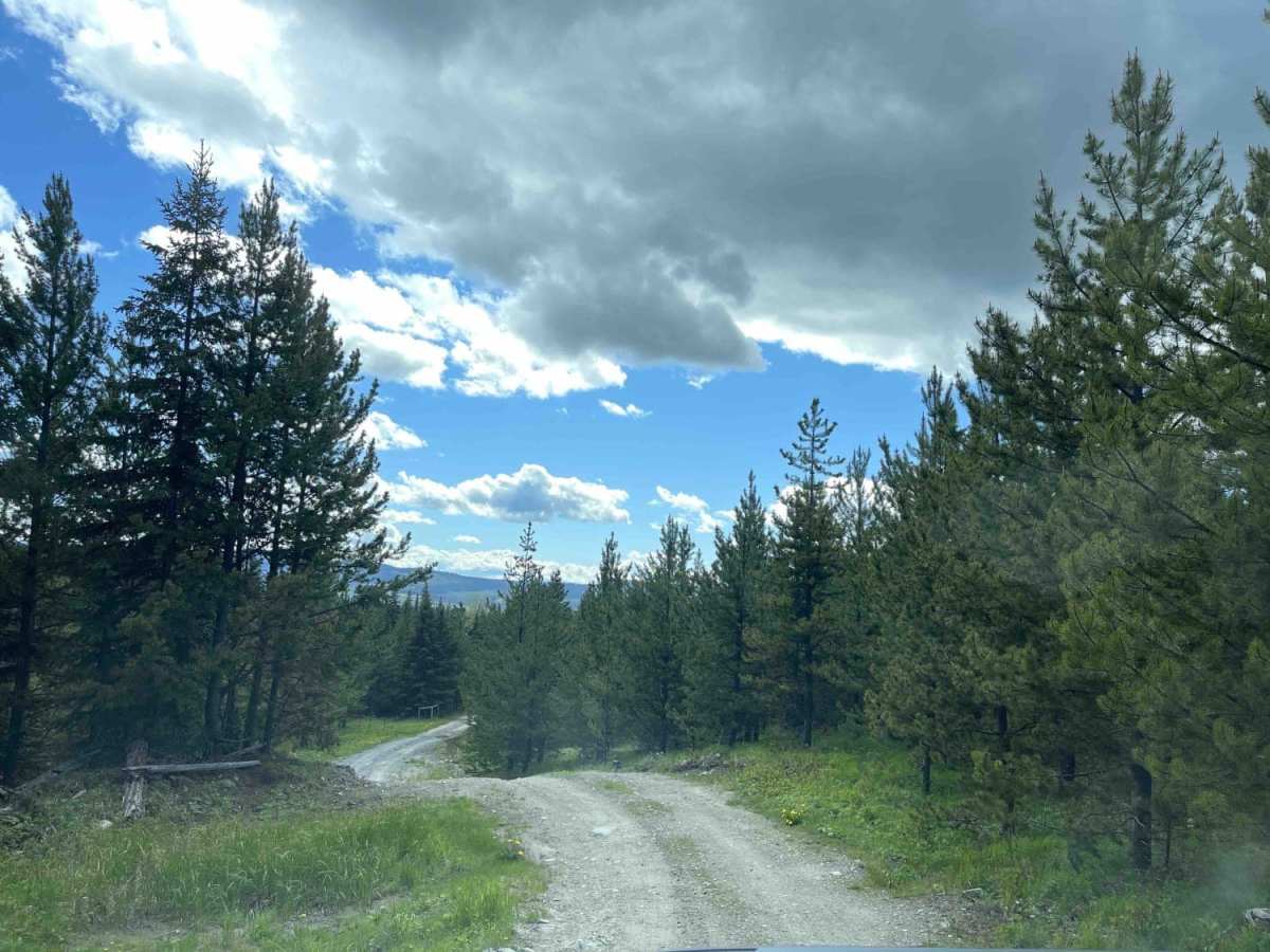 Bob Lake trail photo