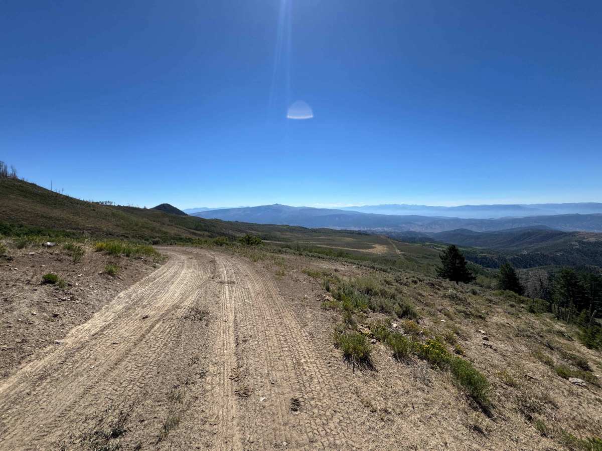 BLM 8454 photo 3