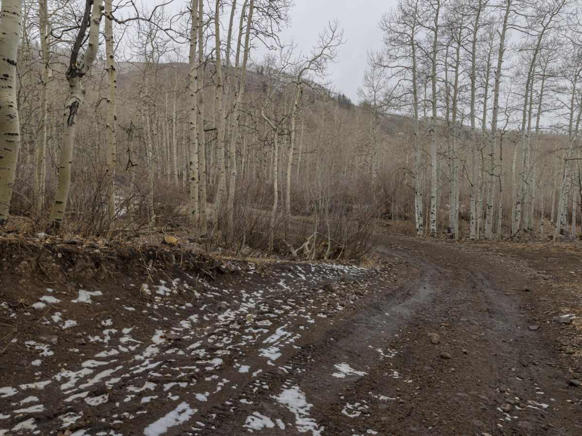 Lost Creek Road photo 5