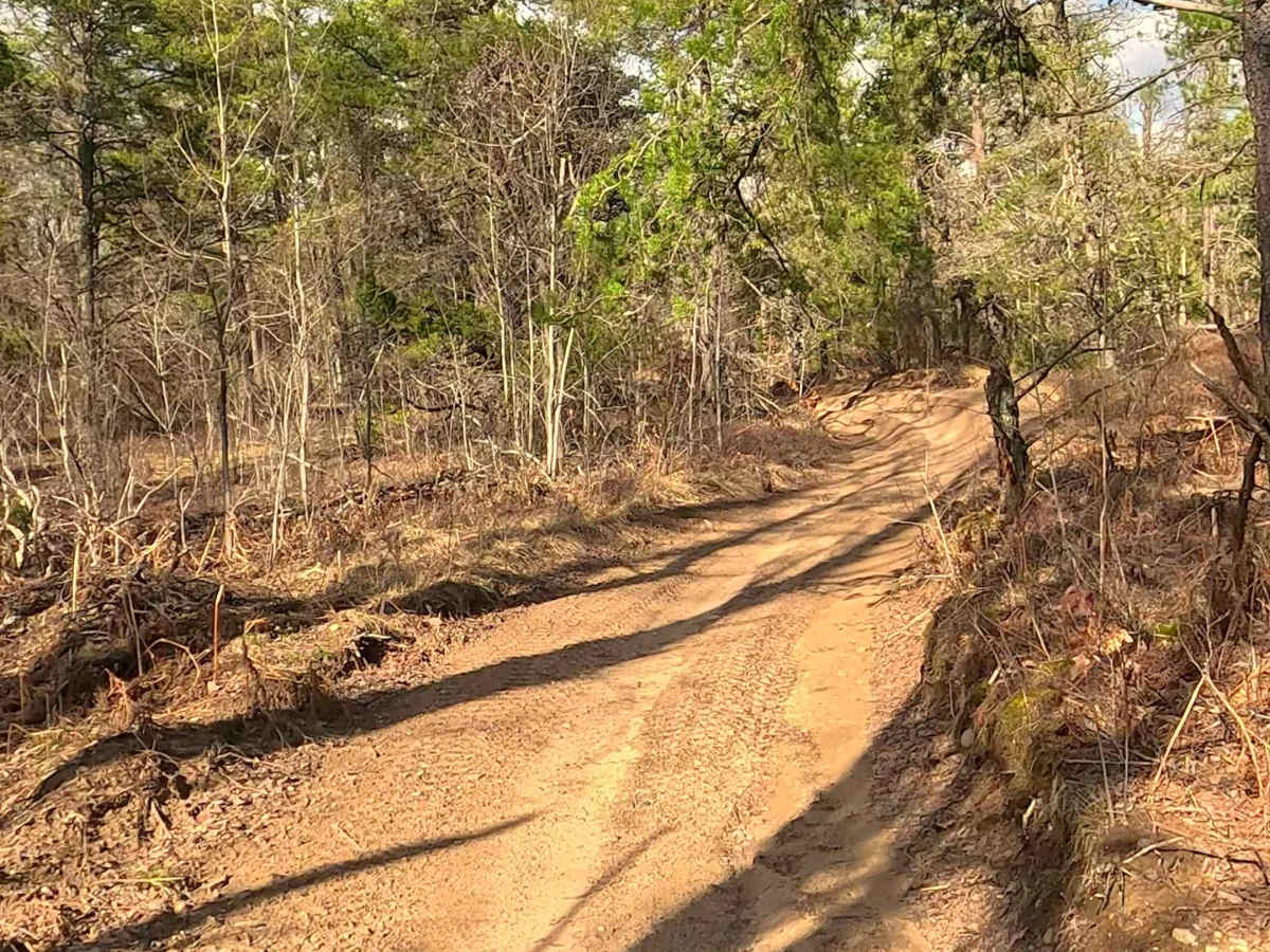 ORV H-57 : Bull Gap Hill Climb - Tertiary Return Loop <50" photo 2