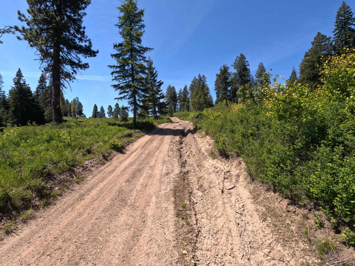 Mainline - Trail 201 photo 5