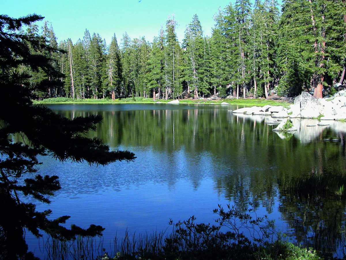 Brewer Lake trail photo