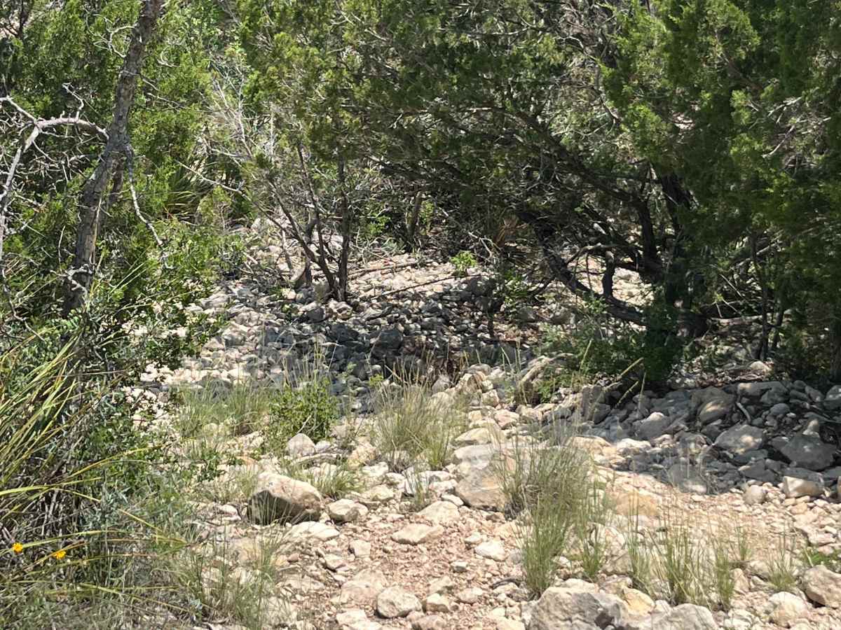 Artie's Revenge - V11 trail photo