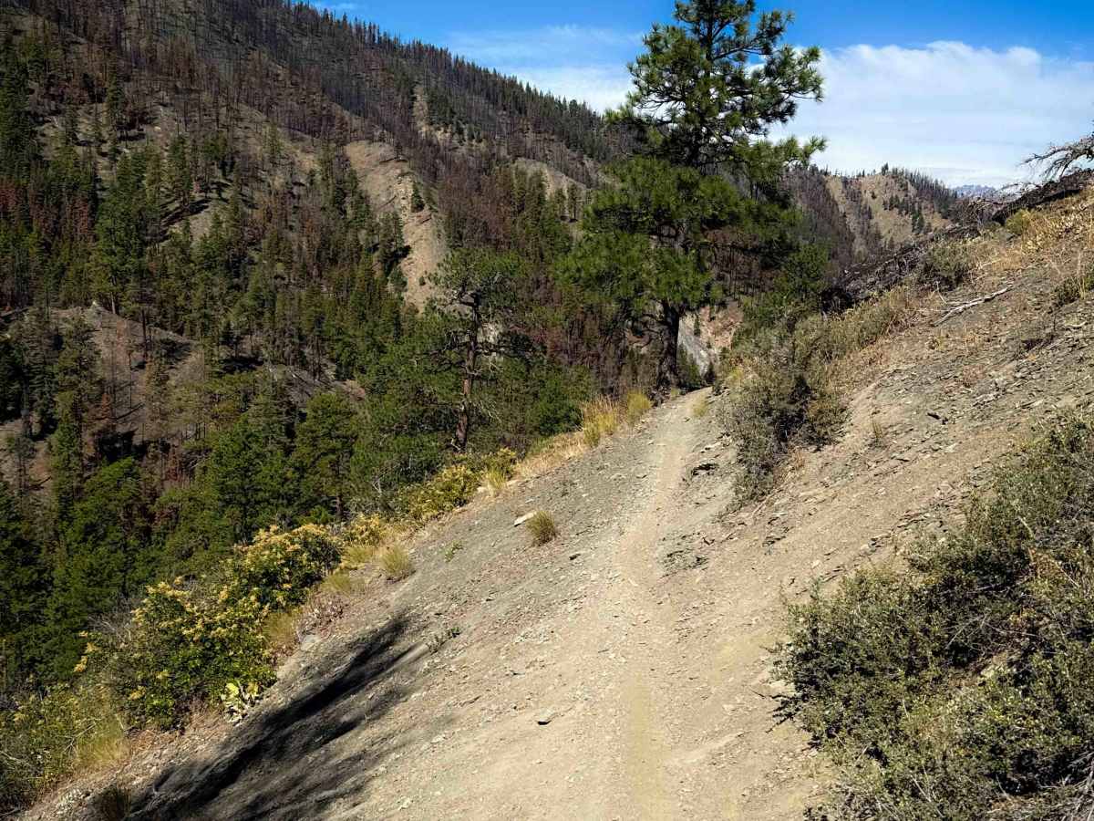 Red Hill Trail 1223 photo 3