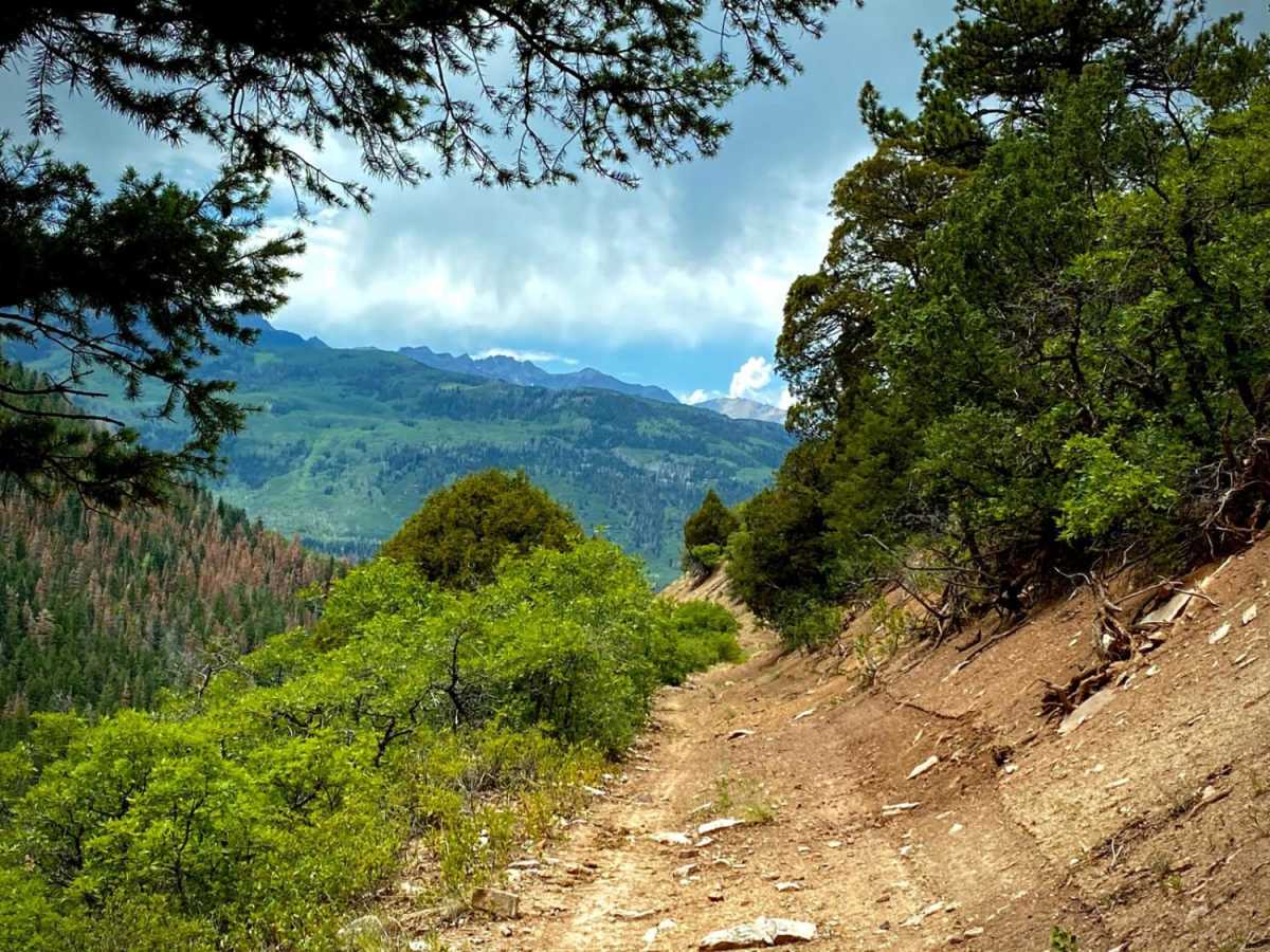Baldy Trail photo 4