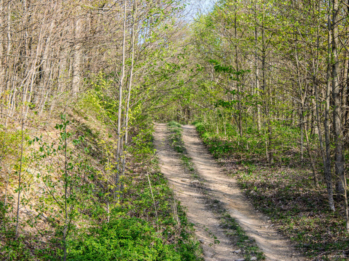 S7  trail photo