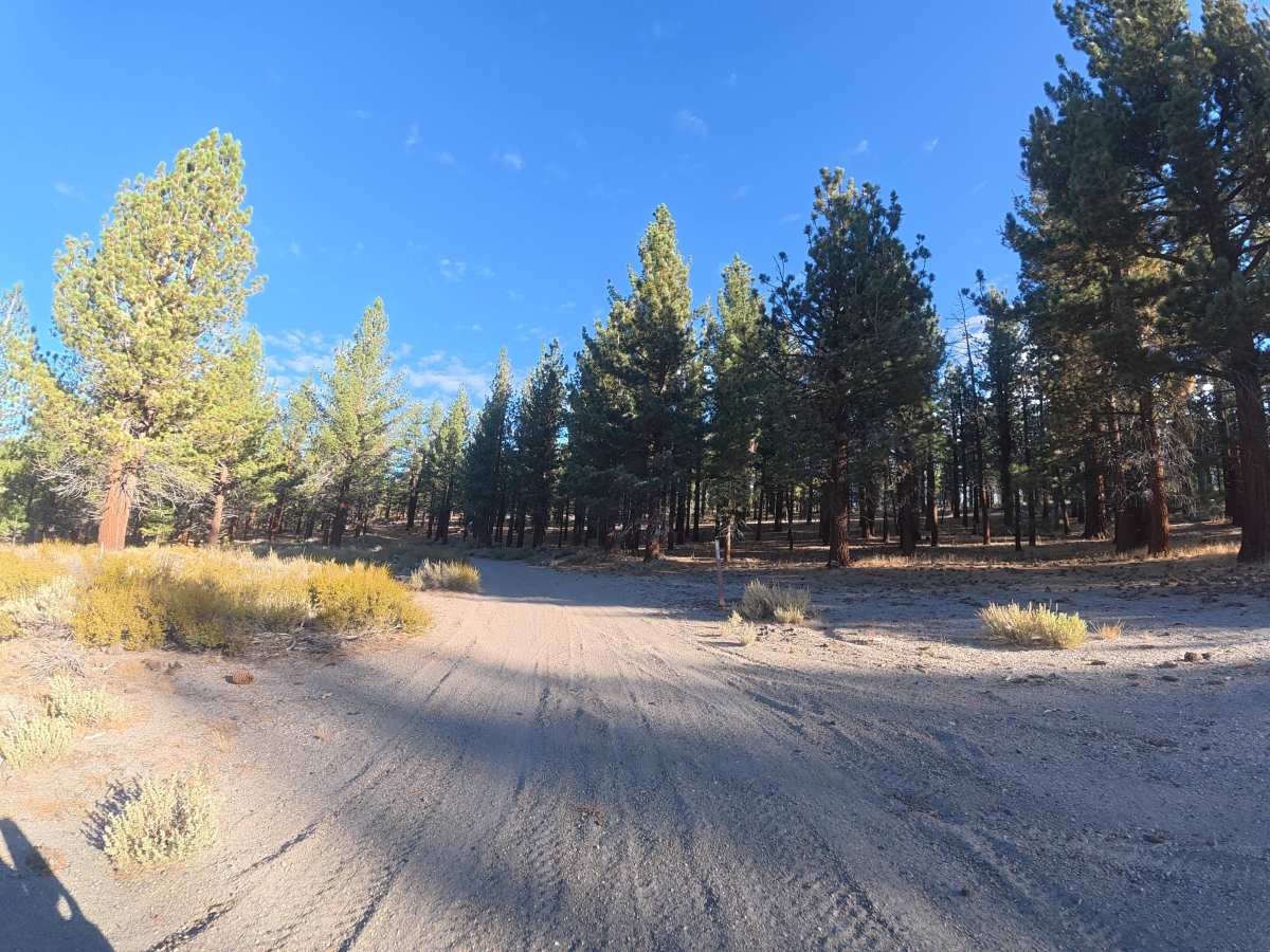 Antelope Loop - FS 3S39 trail photo
