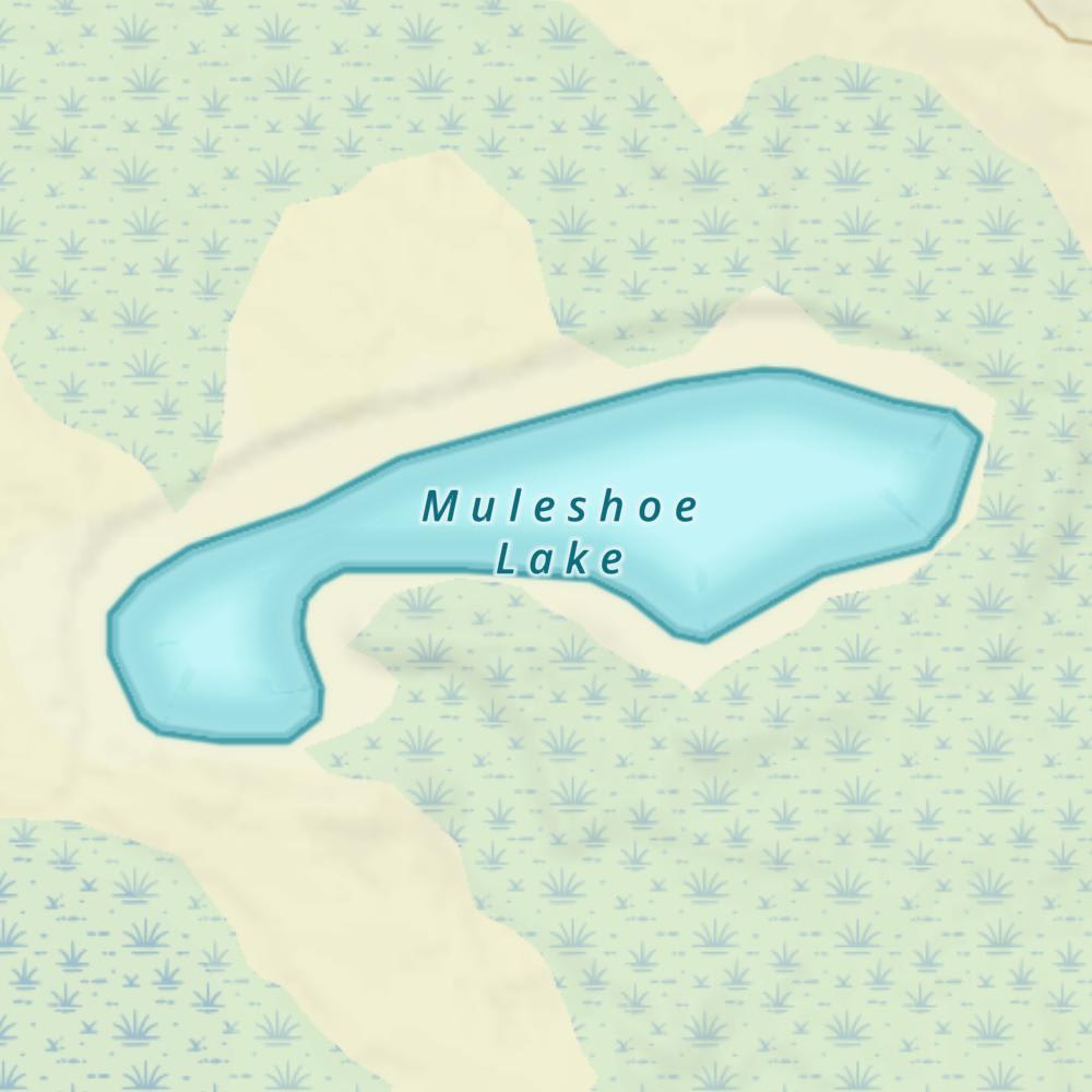 Muleshoe Lake photo
