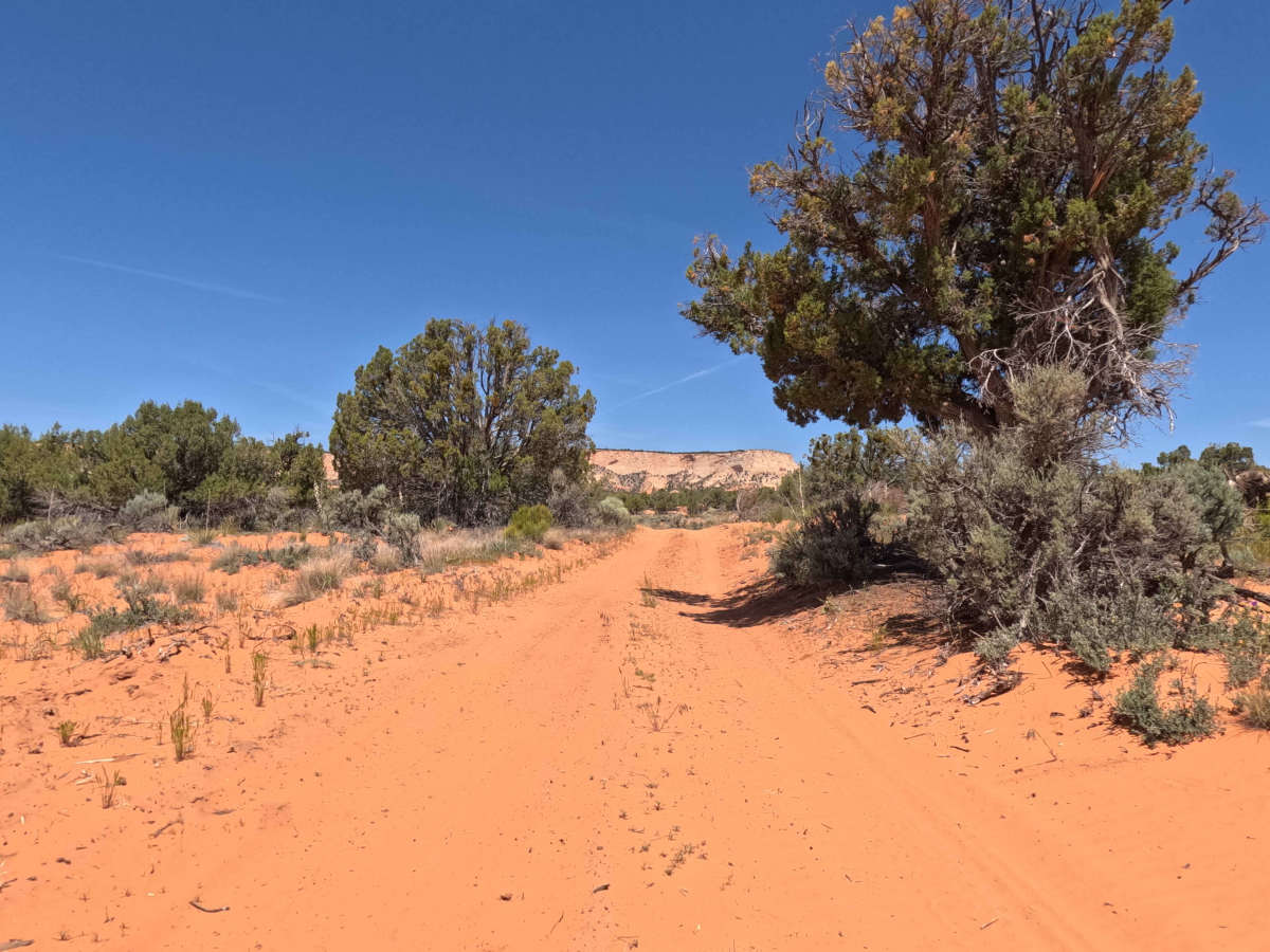BLM 15 photo 4